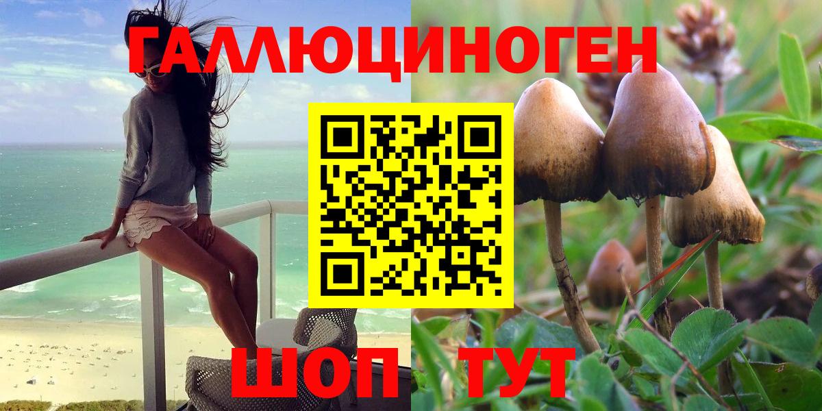 Галлюциногенные грибы прущие грибы Бор